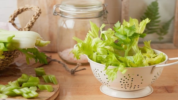 Colanders & Food Strainers